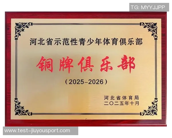 深鸿足球俱乐部:携手共进打造中国足球新未来的梦想与挑战